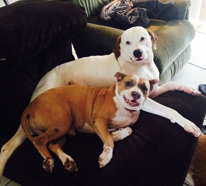 Tank Smiling After A Year In A Cage!