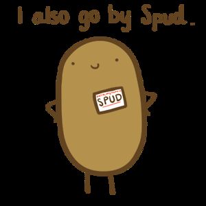 yoyo-blueberry avatar