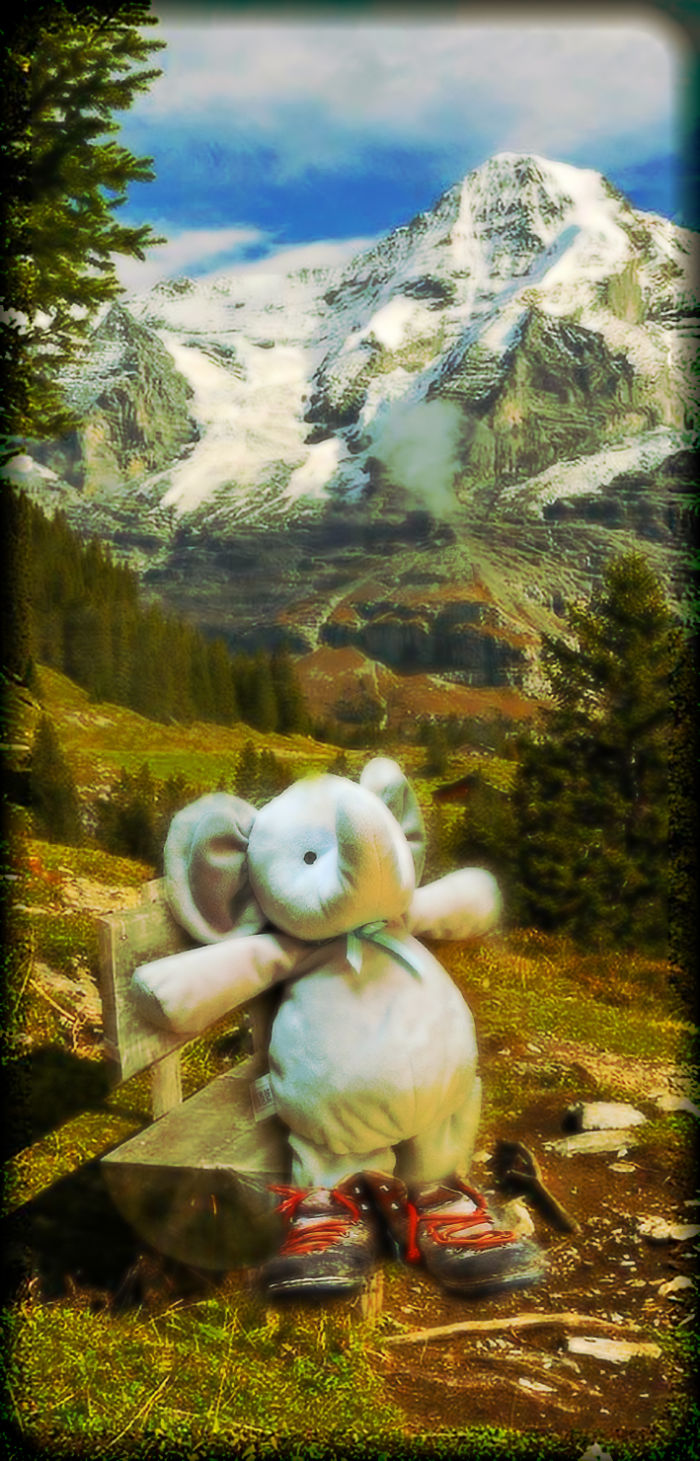 In Switzerland, Very Brave When Hiking