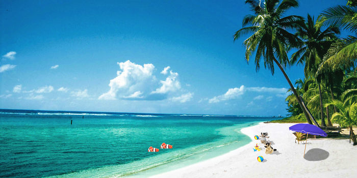 Enjoying The White Sand Beach In Philippines