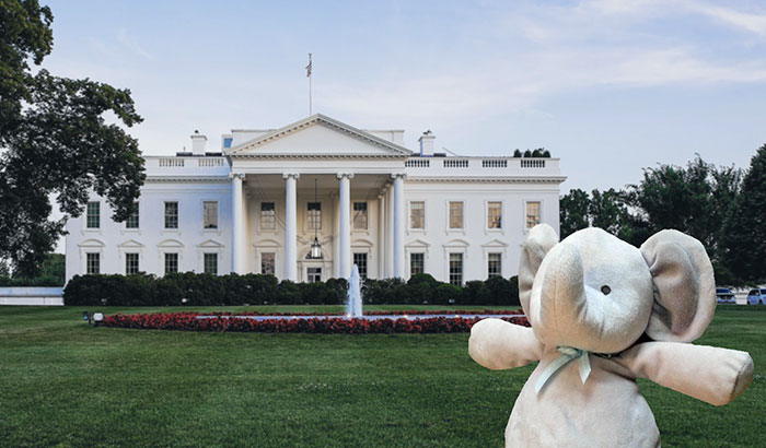 The White House, Usa