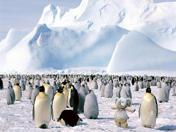 In Antarctica
