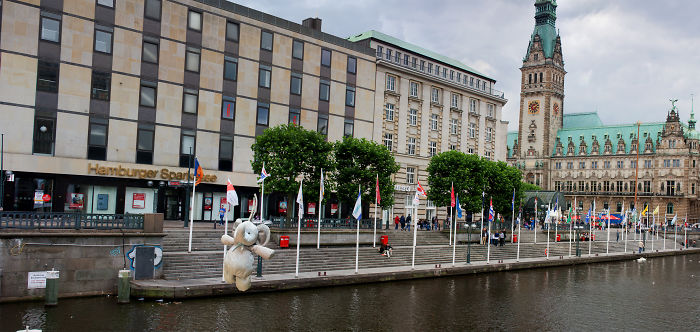 Dipping Into The Alster In Hamburg, Germany