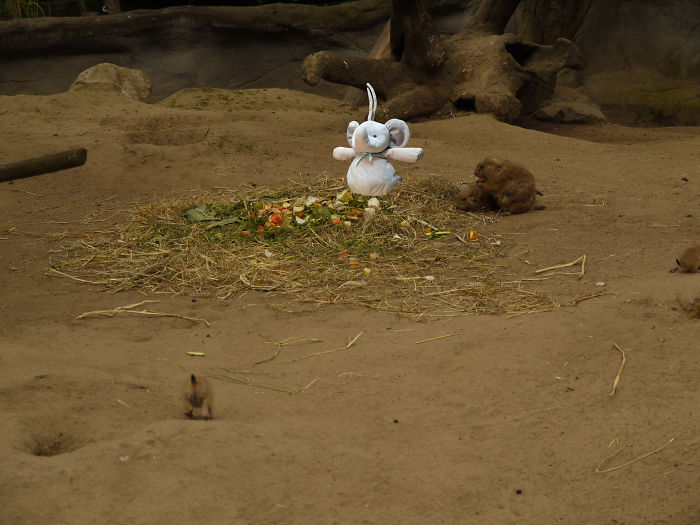 Eating With New Friends In Hagenbeck Hamburg, Germany