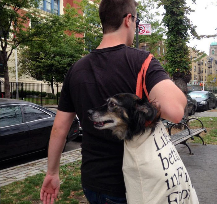 man-with-giant-dog-tote-bag-new-york-subway-2a man-with-giant-dog-tote-bag-new-york-subway-2a