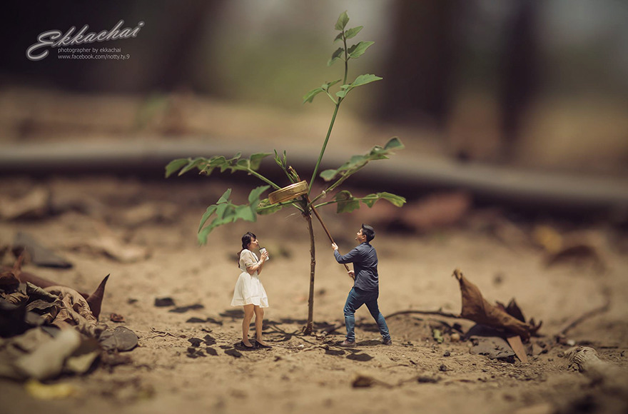 Miniature Wedding Photography