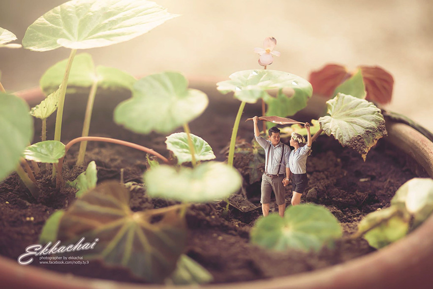 Miniature Wedding Photography