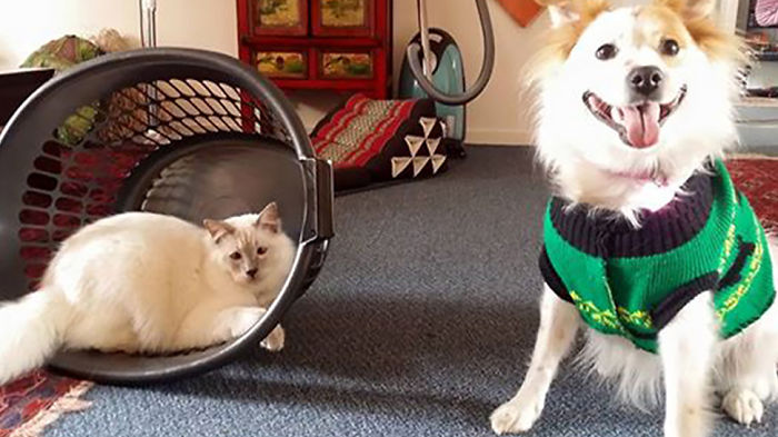 Molly And George - Looks Like They're Hitting It Off!