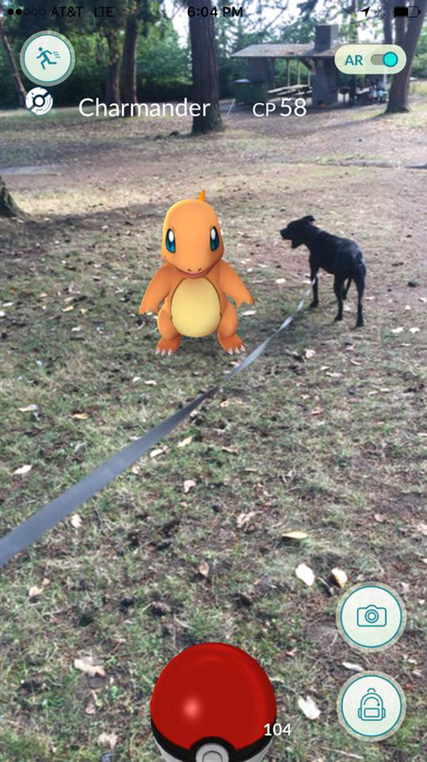 Dog interacting with digital Charmander in Pokémon Go, suggesting pets see Pokémon too.