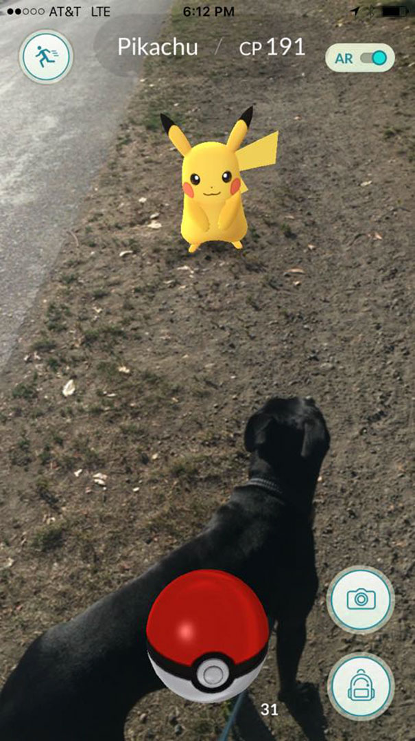 Dog interacting with Pikachu in Pokémon Go, showcasing pets' reactions to augmented reality creatures.