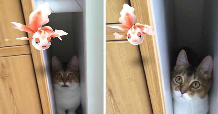 People Are Posting Proof That Pets Can See Pokèmon Go And The Evidence Is More Than Convincing