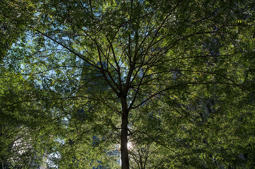 World Trade Centre, New York, Usa