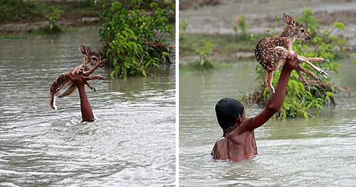 51 Images That’ll Restore Your Faith In Humanity