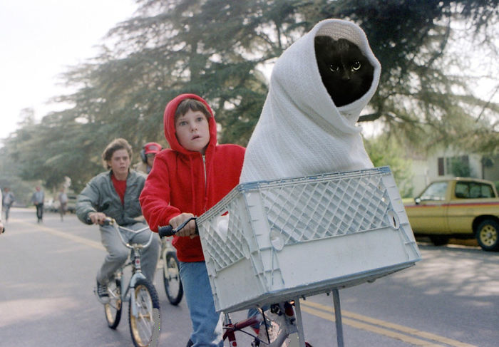 Et Cat