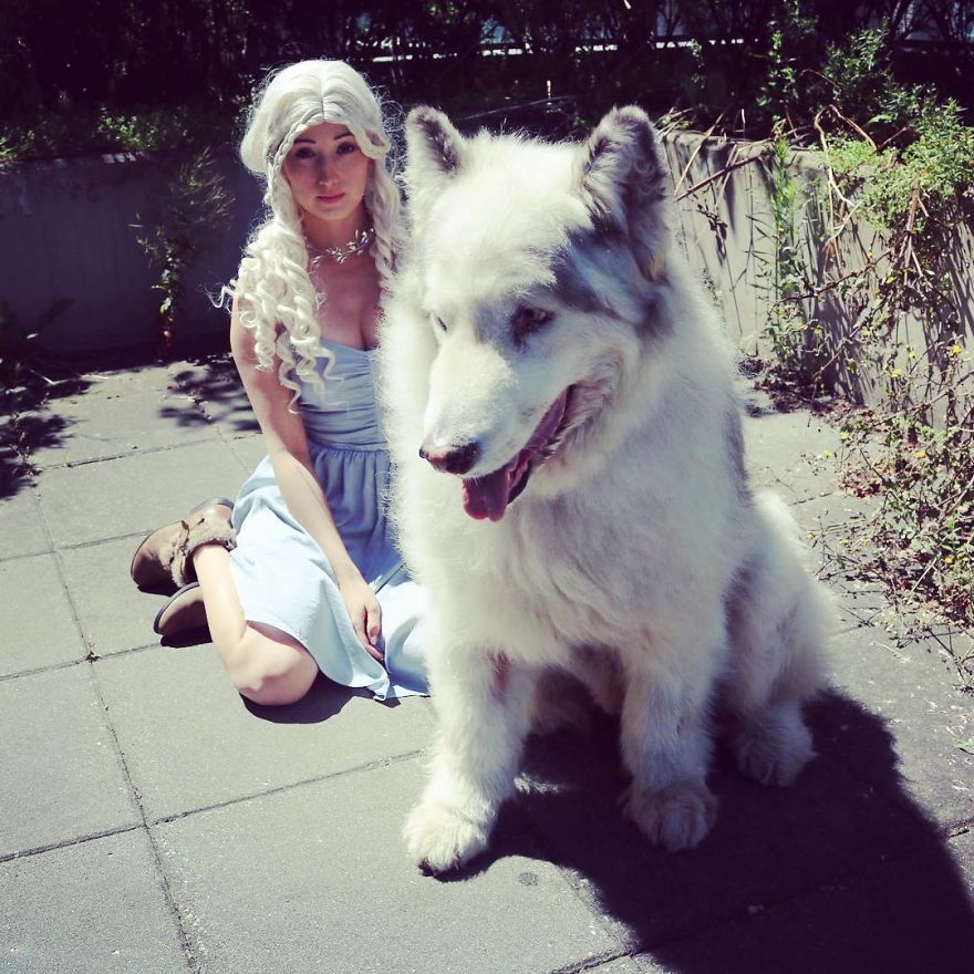 Direwolves Are Real (Sort Of)