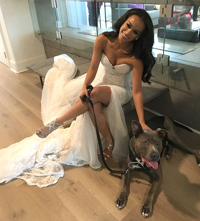 pit-bull-wedding-nfl-player-ace-jeremy-zuttah-heran-haile-5
