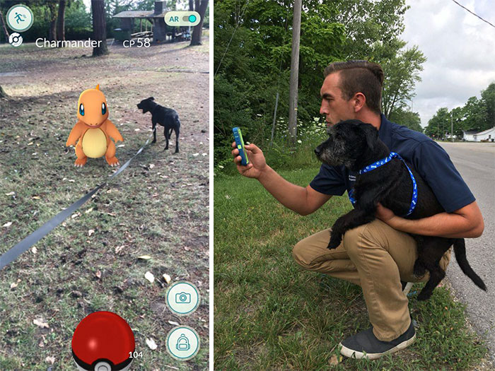When This Animal Shelter Asked Pokémon Go Players To Walk Their Dogs, They Didn’t Expect This