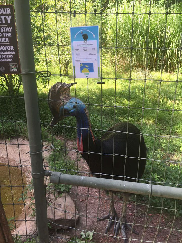 pokemon-go-zoo-signs-zookeeper-problems-1 pokemon-go-zoo-signs-zookeeper-problems-1