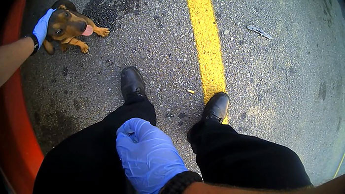 police-rescued-hanging-dog-car-jason-legleiter-3