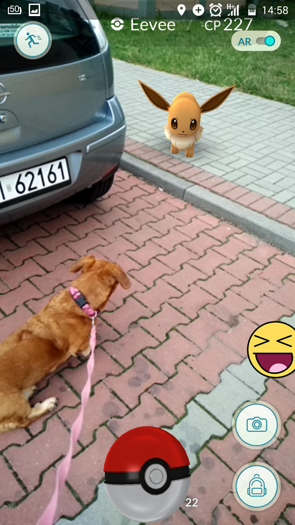 Dog observing an Eevee in Pokémon Go on pavement, showcasing pets reacting to AR creatures.