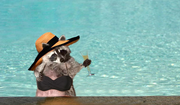 Bikini Photoshoot In The Pool