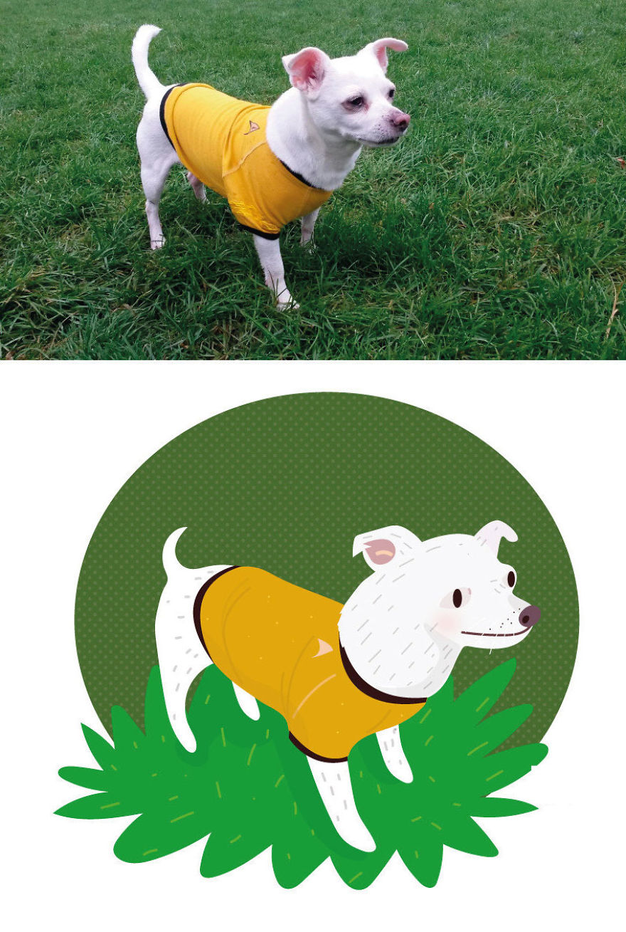 I Draw Cats And Dogs From Photos