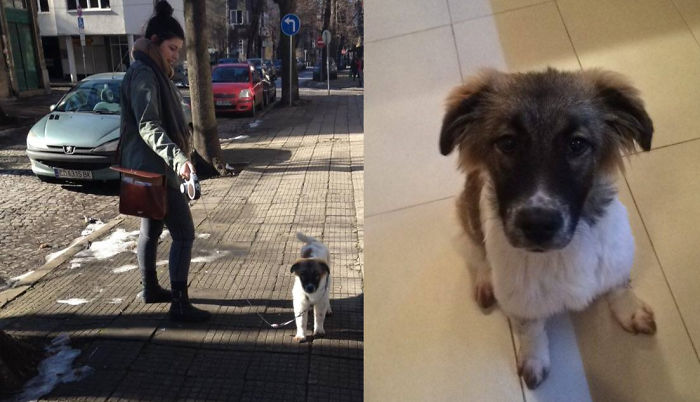 Adopted This Stray When She Was Just 5 Months Old. I Saved Her And She Saved Me :)