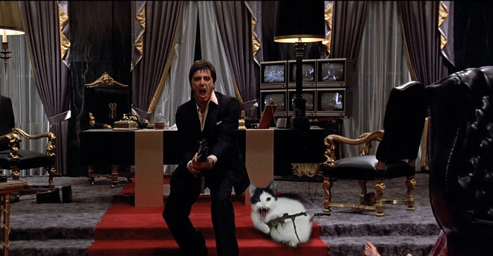 Say Hello To My Little Friend!