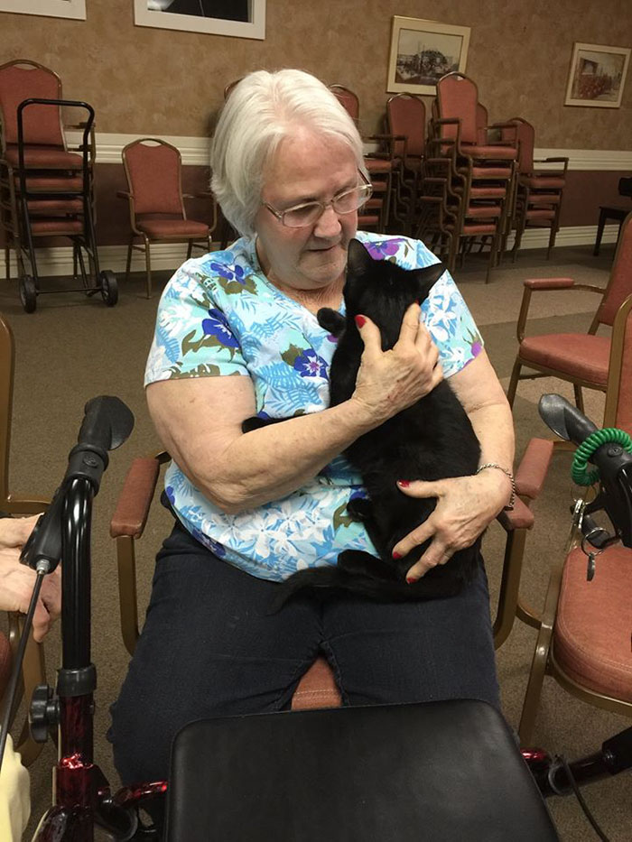 senior-cats-visit-nursing-home-pals-ohio-alleycat-resource-2 senior-cats-visit-nursing-home-pals-ohio-alleycat-resource-2