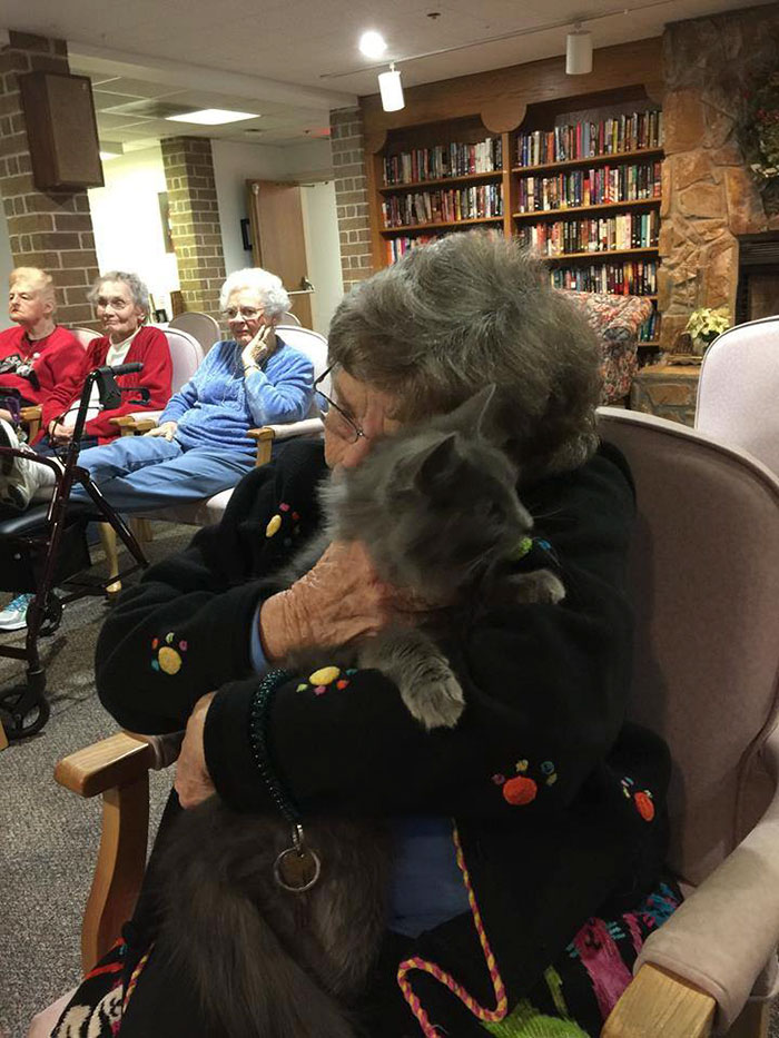 senior-cats-visit-nursing-home-pals-ohio-alleycat-resource-5 senior-cats-visit-nursing-home-pals-ohio-alleycat-resource-5
