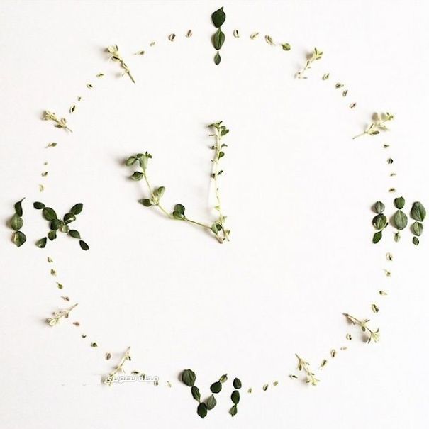 Playing With Flowers And Make 30 Shapes