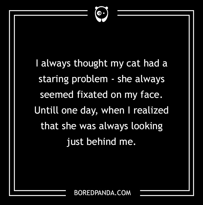 Text box displaying a 2-sentence horror story about a cat's unsettling behavior.