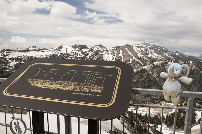 On Top Of Rendezvous Mountain In Grand Teton Natonal Park
