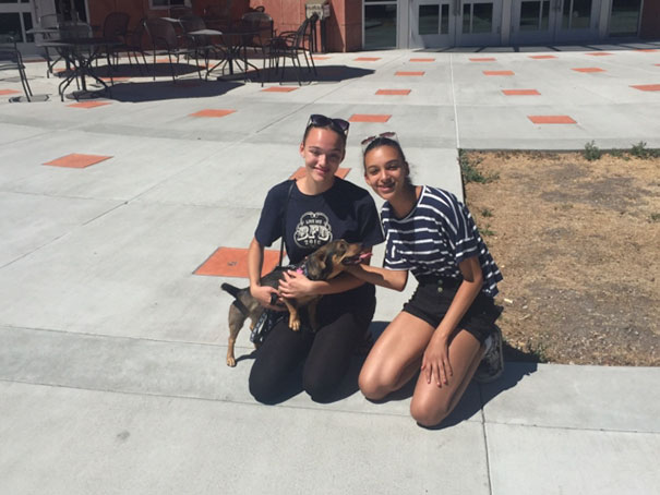 smiling-dog-adopted-nala-california-1