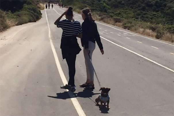 smiling-dog-adopted-nala-california-4