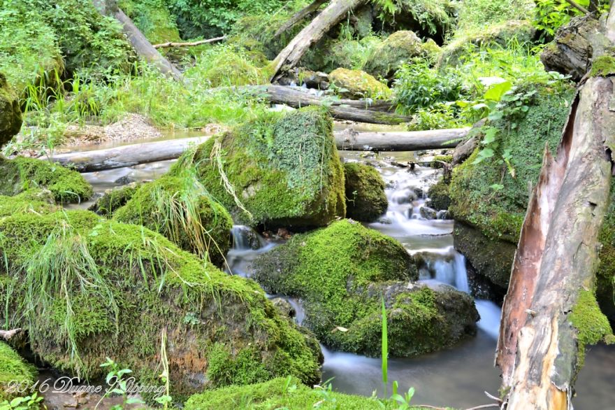 The Return To Mossy Glen The Return To Mossy Glen