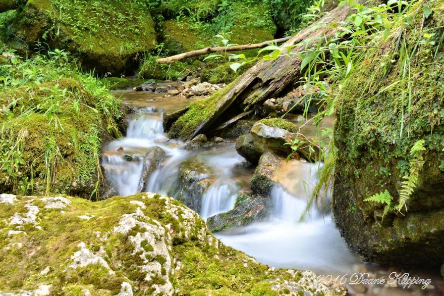 The Return To Mossy Glen