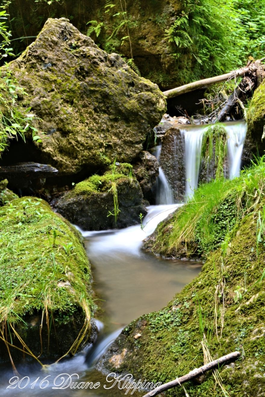 The Return To Mossy Glen