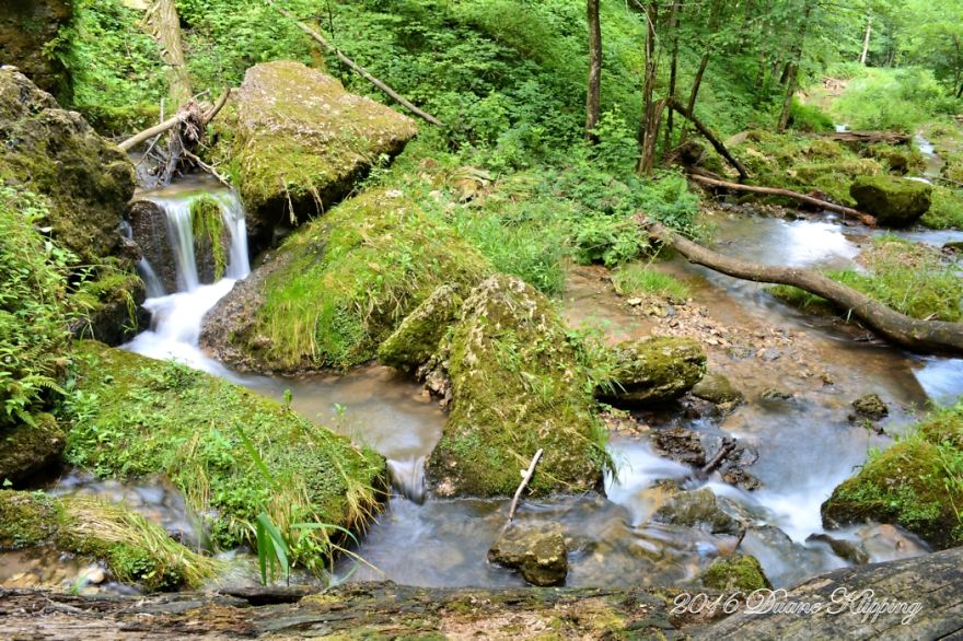 The Return To Mossy Glen The Return To Mossy Glen