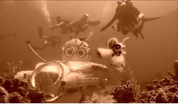 Diving With Roatan Submarine In Honduras, Central America