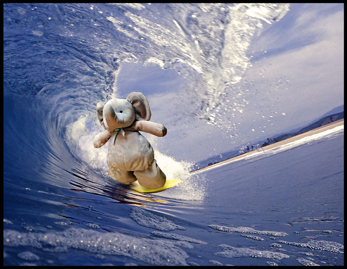 Surfing A Wave Somewhere Sunny!