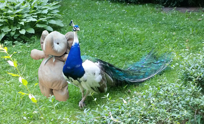 Visiting Friends In Zoo In Warsaw, Poland :)