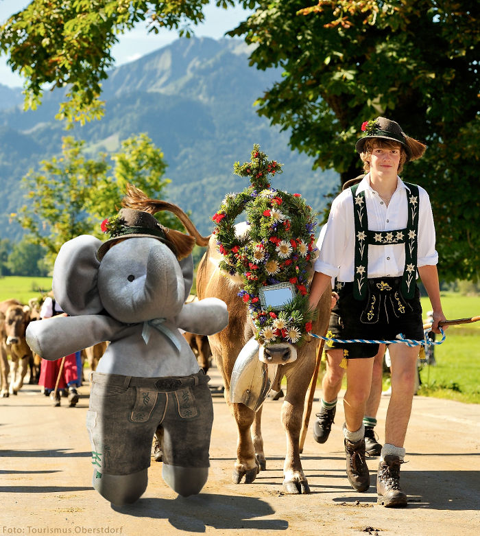 As Bavarian During "viehscheid" In Schöllang, Germany