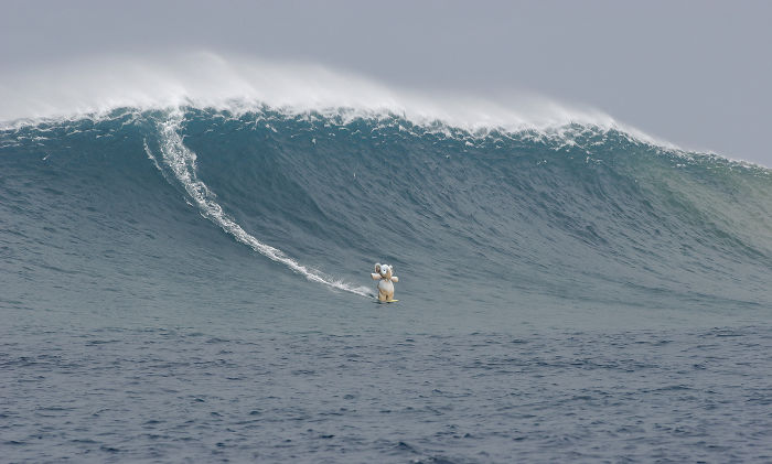 Catching Some Waves!