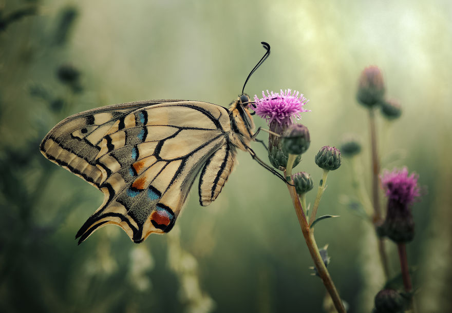 I Spend My Days Capturing The Raw Beauty Of Nature I Spend My Days Capturing The Raw Beauty Of Nature