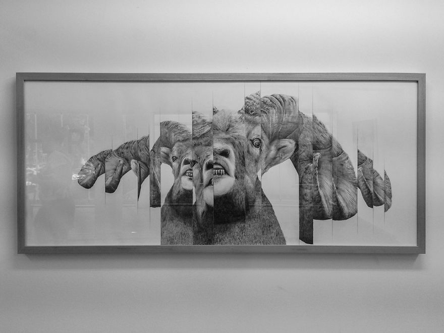 I Drew Some Distorted Animal Portraits