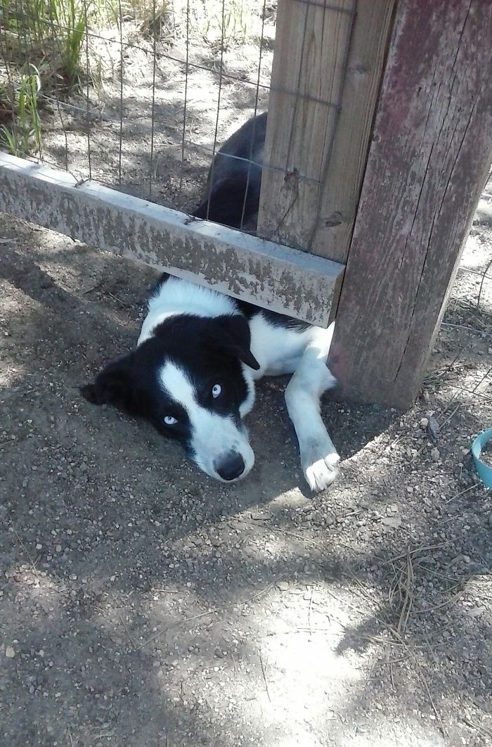 #88 Hello From The Outside, At Least I Can Say That I've Tried.