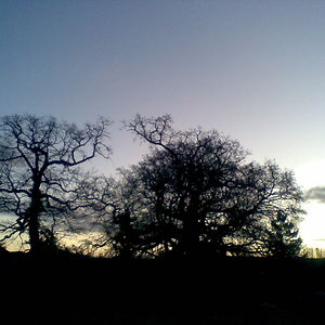 ivyndagire444 avatar