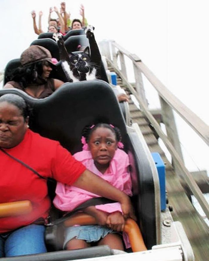 Goalkitty Loves Roller Coasters