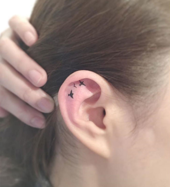 Minimalist tattoo of small birds inside an ear, created by a Korean artist.